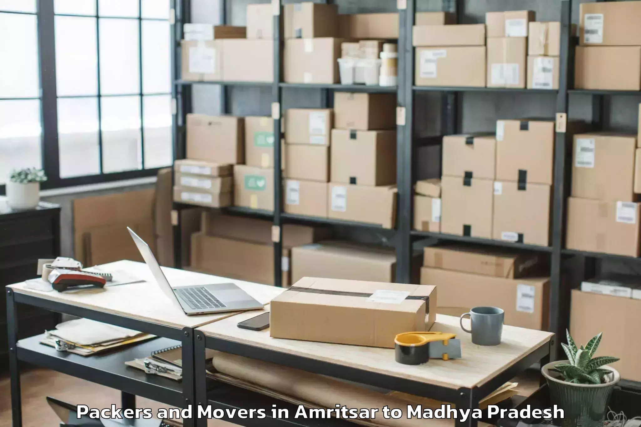 Get Amritsar to Basoda Packers And Movers